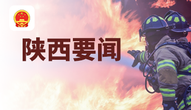 [陕西]陕西省应急管理厅部署开展全省应急管理系统城镇燃气安全专项整治